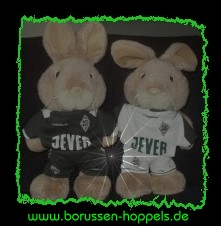 borussen-hoppels1