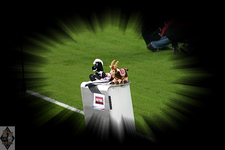 tierisches Derby tierisches Derby