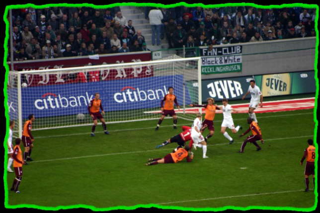 Wiese sucht