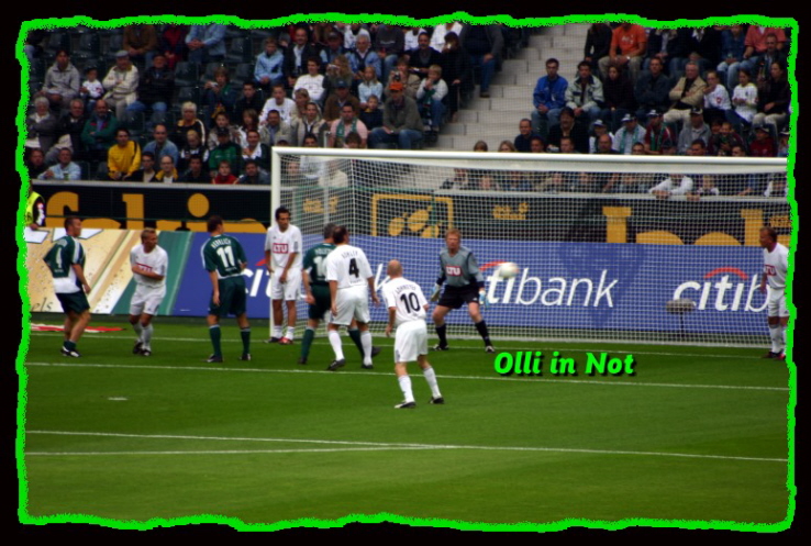 Olli in Not