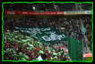Tigerbanner