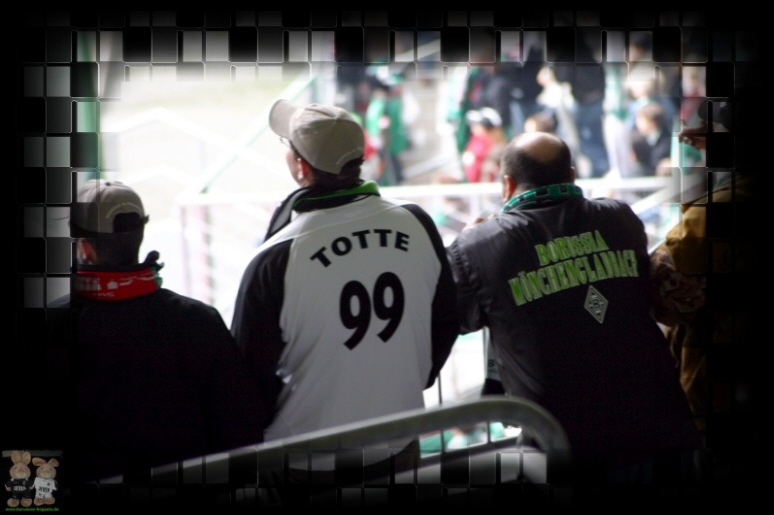 Fans