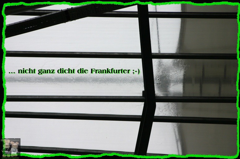 Dach...