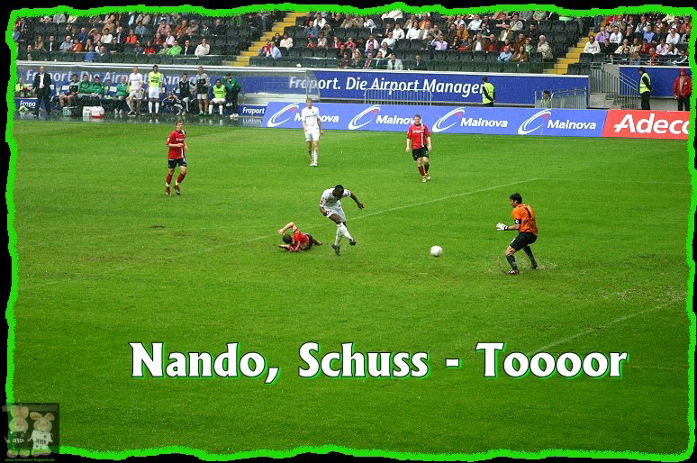 Nandos Tor