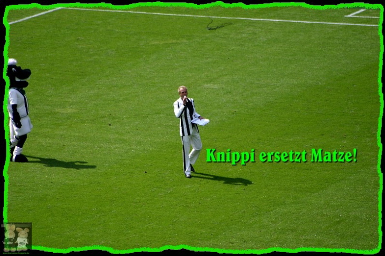 Knippi