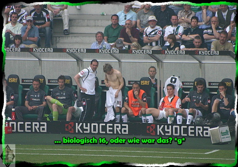 Wohl der ...